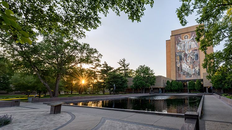 University Librarian Diane Walker: letter to the Notre Dame community