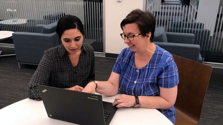 A scene that depicts Library Research Consultations