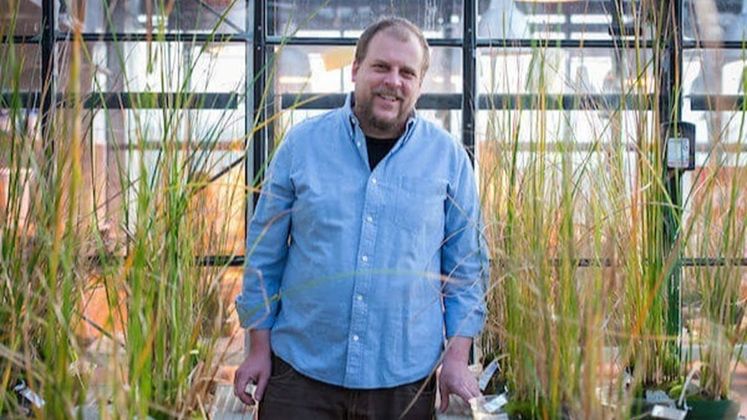 Campus partners prove vital for continuing research and scholarship during pandemic