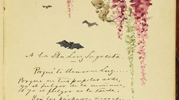 This bilingual exhibit explores the albums of Esmeralda Cervantes (España), Teresa Puelma de Orrego (Chile), Luz de Sagaseta (México), and María Enriqueta Camarillo (México)