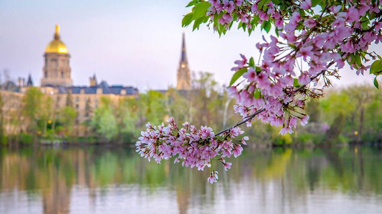 Notre Dame Forum 2021 will explore ‘Care for Our Common Home: Just Transition to a Sustainable Future’